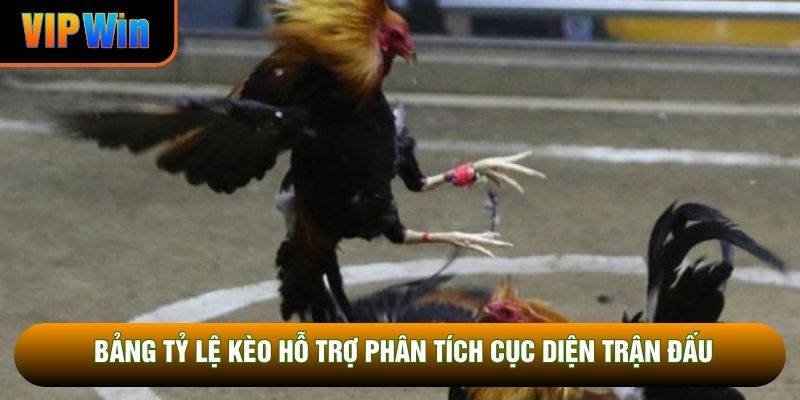 Bảng tỷ lệ kèo hỗ trợ phân tích cục diện trận đấu Bảng tỷ lệ kèo hỗ trợ phân tích cục diện trận đấu
