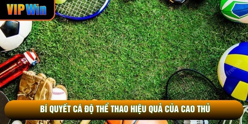 Bí quyết cá độ thể thao hiệu quả của cao thủ