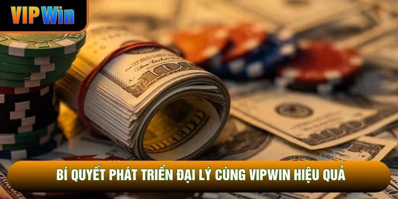 Bí quyết phát triển đại lý cùng VIPWIN hiệu quả Bí quyết phát triển đại lý cùng VIPWIN hiệu quả