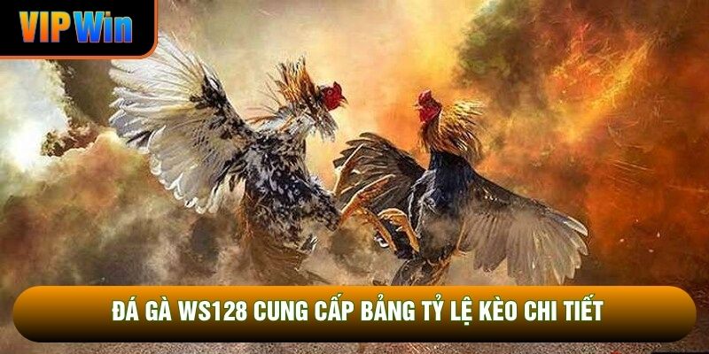 Đá gà WS128 cung cấp bảng tỷ lệ kèo chi tiết Đá gà WS128 cung cấp bảng tỷ lệ kèo chi tiết