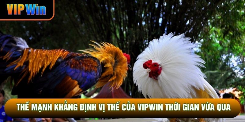 Thế mạnh khẳng định vị thế của VIPWIN thời gian vừa qua Thế mạnh khẳng định vị thế của VIPWIN thời gian vừa qua