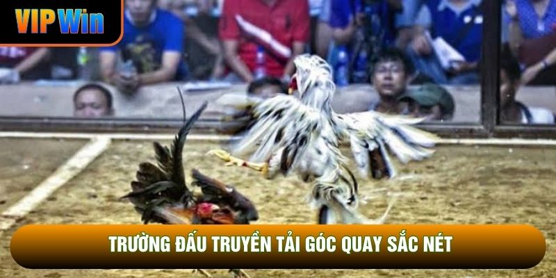 Trường đấu truyền tải góc quay sắc nét Trường đấu truyền tải góc quay sắc nét